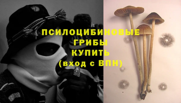 кристаллы Карпинск