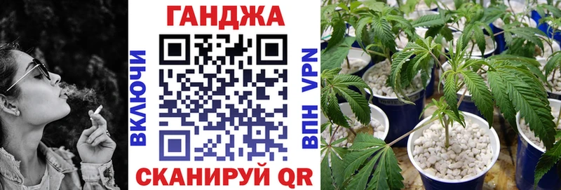 Каннабис AK-47  Купить закладки  Венёв 